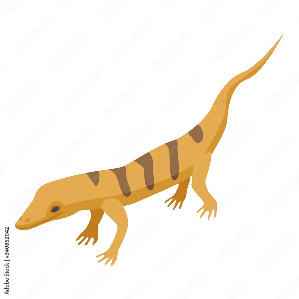 Poster desert lizard icon. isometric of desert lizard vector icon for web design isolated on white backgrou