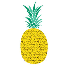 Pineapple.Vector illustration on white. Hand-drawn isolated element for design.