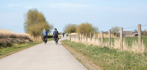 Obraz premium Rear view of people riding bikes on bicycle path
