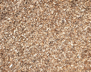 Wood chips background, texture