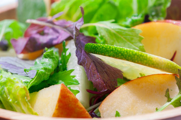 Vegetarian favorite, continental breakfast lettuce salad with diverse vegetables