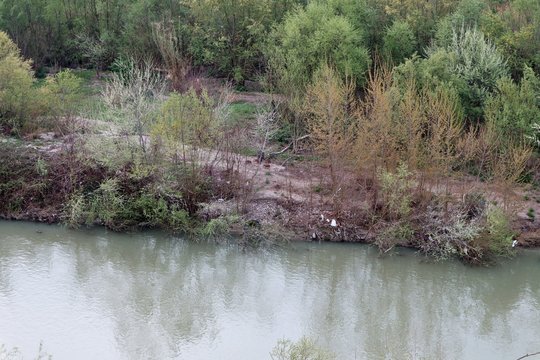 Benevento - Cucciolata di cinghiali sul fiume Calore