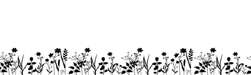 Seamless vector horizontal ornament of field herbs and plants. Black silhouettes of medicinal flowers are drawn in ink by hand. Design on a white background for cosmetics, poster, banner, template.