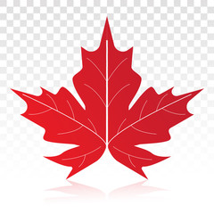 Red maple leaf vector flat icon on a transparent background