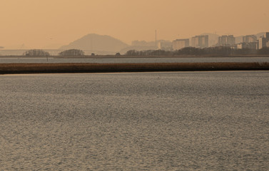 view of the river in the evening