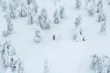 Drone shot of people trekking in a snowy forest in Lapland, Finland