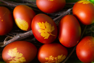 Top view of red Easter eggs decorated with natural fresh leaves and boiled in onions peels....