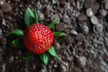 Top view of fresh strawberry on dark chocolate cake
