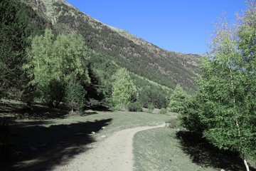 mountain road in the mountains
