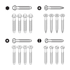 Screws, bolts isolated on white background. Vector isometric outline illustration