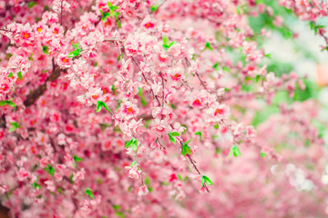 Artificial Sakura flowers for decorating japanese style. Spring blossom. Image has shallow depth of field.