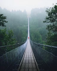  Hanging bridge in Germany © rawpixel.com