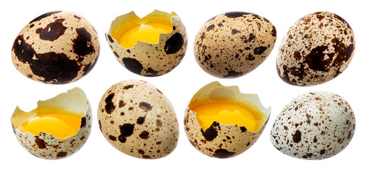 Fresh quail eggs isolated on white background