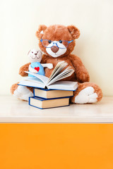 Big toy bear reading an book for smol toy teddy bear, showing that even read toys. the concept of baby learning