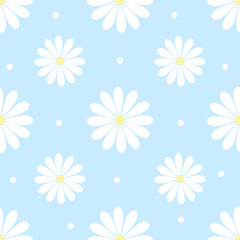 Cute camomile flower on blue background.