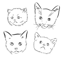 Cute cats. Vector illustration in black and white, portrait of a cat, cat head vector sketch illustration