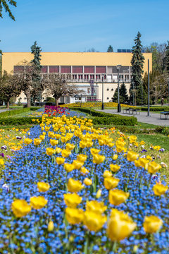 Spring Vrnjacka Banja