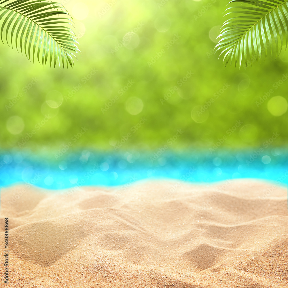 Canvas Prints Summer sandy beach  with green grass backdrop