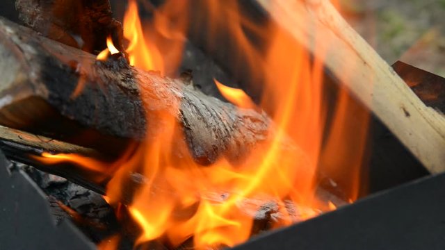 Firewood burns hot in the hearth