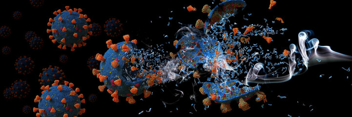 Obraz na płótnie Canvas Coronavirus epidemic, Covid-19 viruses destroyed by soap