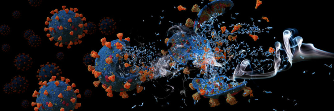 Coronavirus epidemic, Covid-19 viruses destroyed by soap