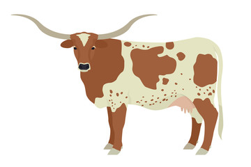 Texas Longhorn cow Breeds of domestic cattle Flat vector illustration Isolated object on white background