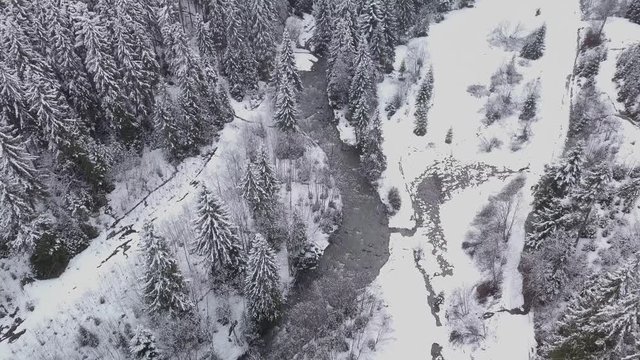 Flight over the forest and river in the Carpathians in winter. Beautiful landscape of winter mountains. Aerial view. 4K