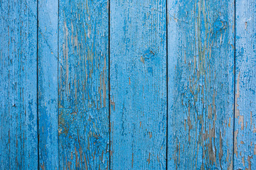 Fototapeta na wymiar Background texture of old boards of blue color