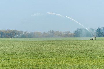 Rollaway automatic sprinkler watering gun irrigating farmer's field in spring season.