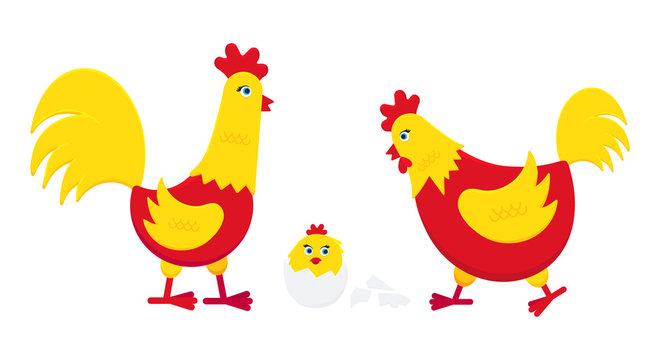 Yellow and red chicken with broken egg and a rooster cock flat style design vector illustration. Chicken farming poultry symbol icon signs. Domestic bird isolated on white background.