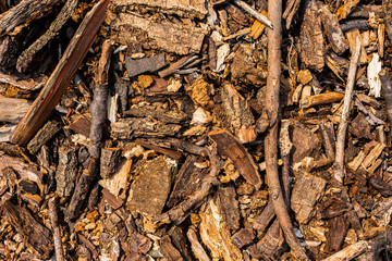 Wood cod background, texture
