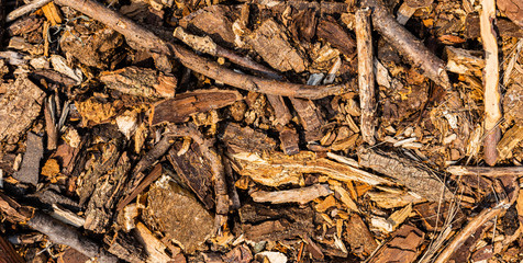 Wood cod background, texture
