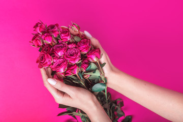 Woman's hand holding beautiful bouquet of pink roses flowers on bright pink background, flat lay.