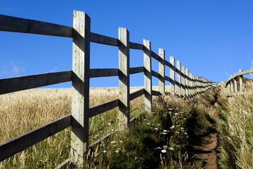 A wooden fence along a field with clear blue sky