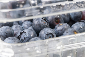 blueberry close - up in packaging, fresh berry macro photo