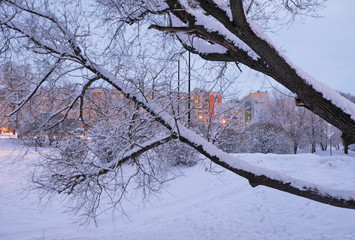 Park in Yuzhnoye Butovo District (Southern Butovo). Moscow. Russia