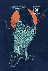 Mystical Crow Vector Illustration