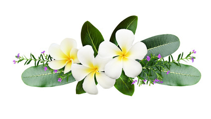 Аrangipani (plumeria) flowers  tropical green leaves in a floral arrangement