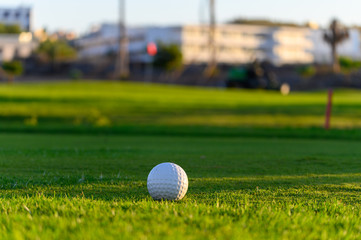 Excellent well-kept green grass lawn on large golf course, green section with big white foam ball for beginners on Tenerife island, Canary, Spain