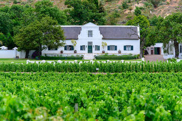 Fototapeta na wymiar Haus im Weingebiet 