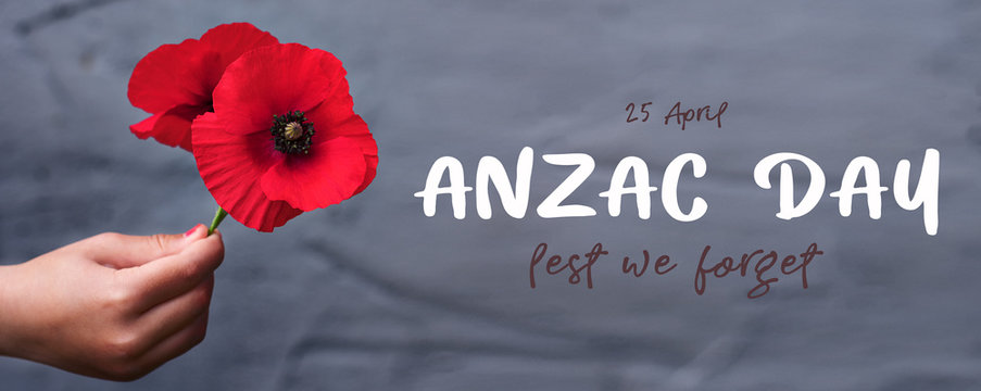 1 605 Best Remembrance Day Lest We Forget Images Stock Photos Vectors Adobe Stock 1 605 Best Remembrance Day Lest We Forget Images Stock Photos Vectors Adobe Stock