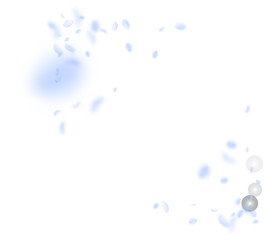 Light blue flower petals falling down. Optimal rom