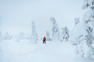 Naklejka na ściany i meble Landscape photographer trekking in a snowy Lapland, Finland