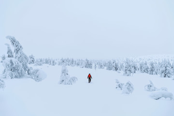 Mountaineer trekking in the snow at Lapland, Finland