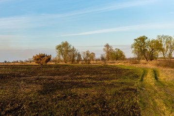 Obraz premium Spring fires in the fields..