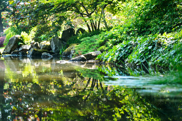 Fototapeta na wymiar City japanese garden. Harmony in a city park. City break