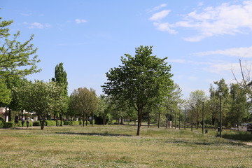 Fototapeta premium Le parc Bourlione à Corbas, grand espace vert - Ville de Corbas - Département du Rhône - France