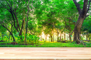 Abstract Natural wood table with Morning sun light with wind blowing leaves in the lake park. : Top view of plank wood for graphic stand product, interior design or montage display your product