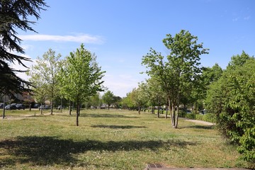 Fototapeta premium Le parc Bourlione à Corbas, grand espace vert - Ville de Corbas - Département du Rhône - France