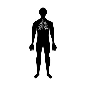 Man silhouette and lungs sign. Internal organs eps ten
